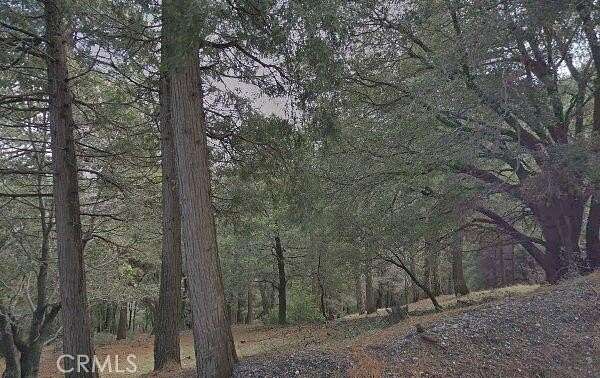 0.06 Acres of Residential Land for Sale in Cedarpines Park, California