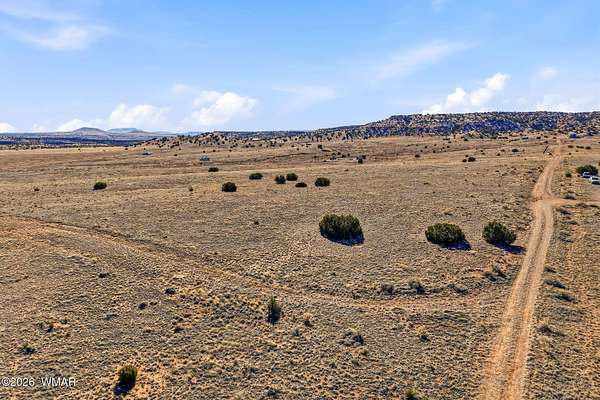 1 Acre of Residential Land for Sale in St. Johns, Arizona