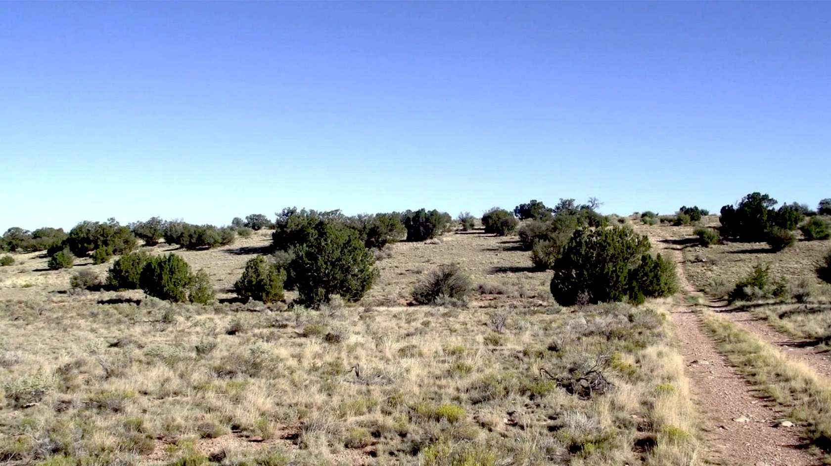 6 Acres of Residential Land for Sale in Valle, Arizona