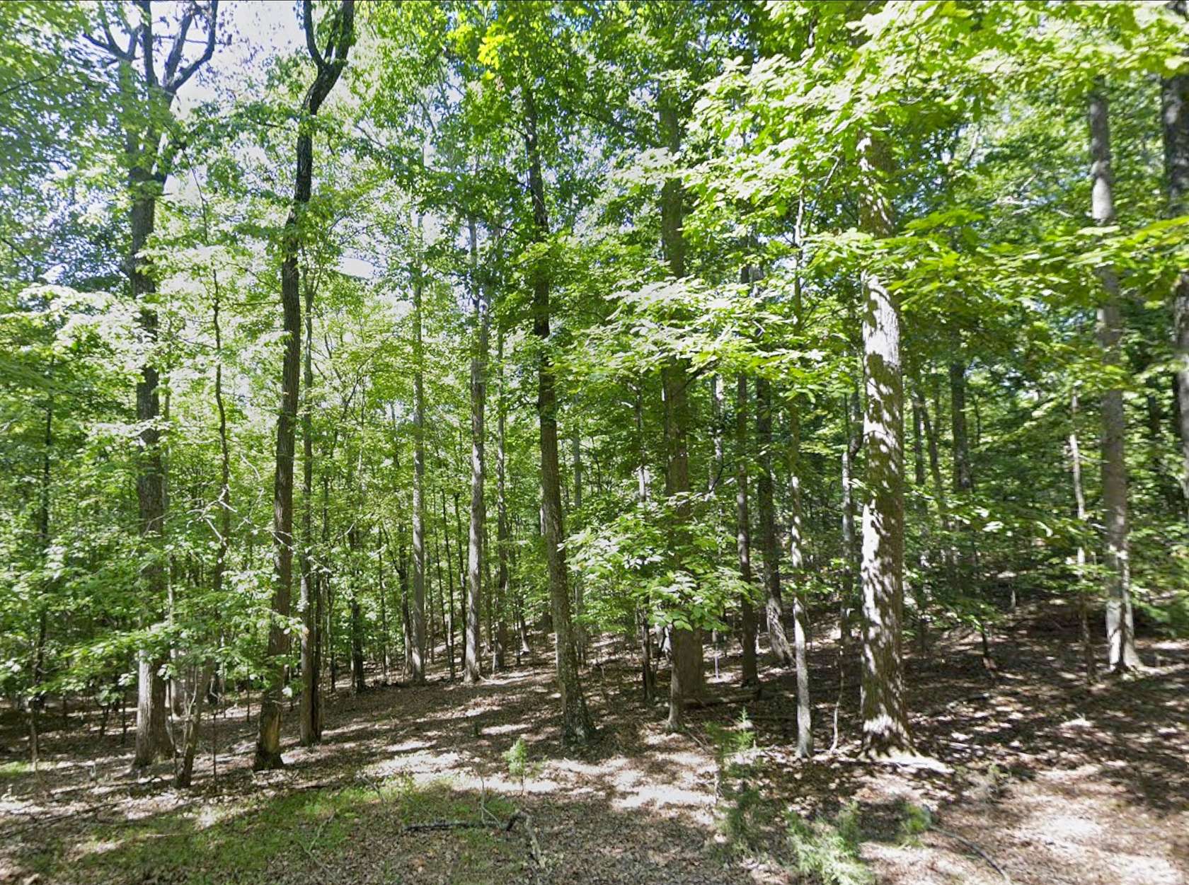 4.28 Acres of Residential Land for Sale in Buena Vista, Virginia