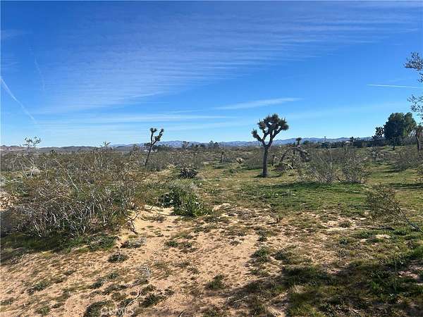 2.5 Acres of Land for Sale in Landers, California