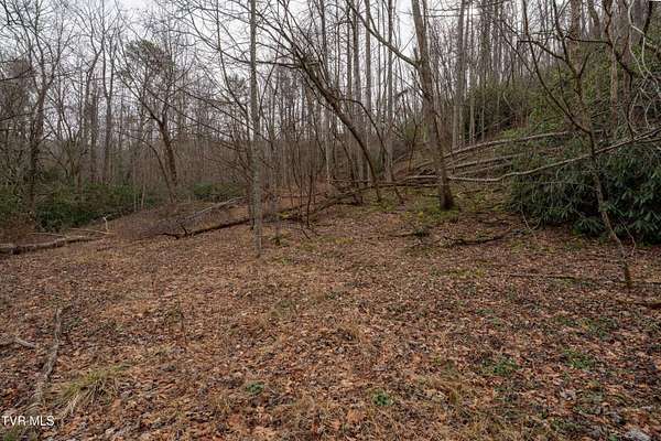 8.2 Acres of Residential Land for Sale in Mountain City, Tennessee