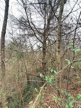 0.33 Acres of Residential Land for Sale in Hickory, North Carolina