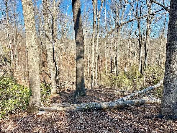 2.43 Acres of Residential Land for Sale in Flowery Branch, Georgia