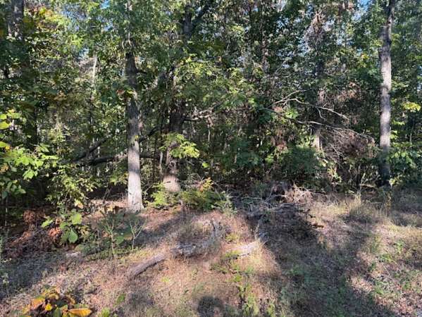 3 Acres of Residential Land for Sale in New Concord, Kentucky