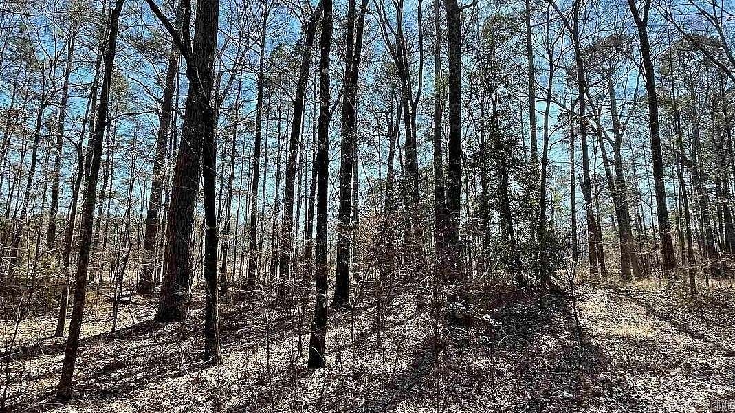 40 Acres of Recreational & Residential Land for Sale in Fountain Hill, Arkansas