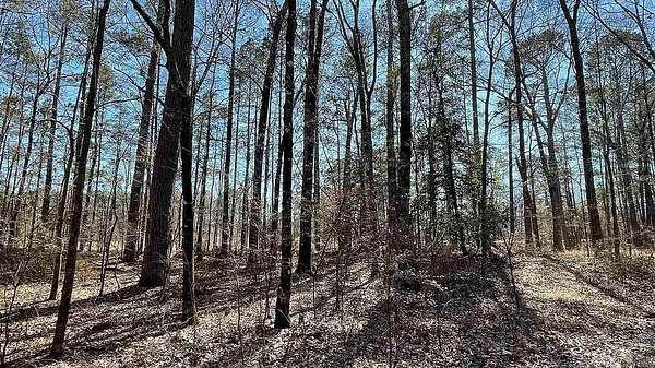40 Acres of Recreational Land for Sale in Fountain Hill, Arkansas