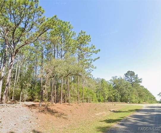 0.34 Acres of Residential Land for Sale in Citrus Springs, Florida