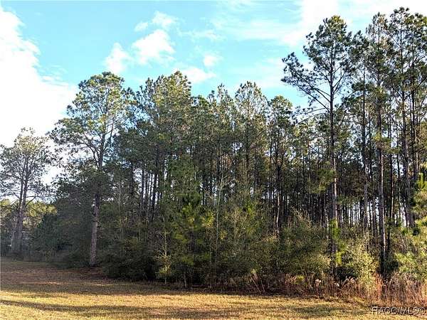 1.1 Acres of Residential Land for Sale in Lecanto, Florida