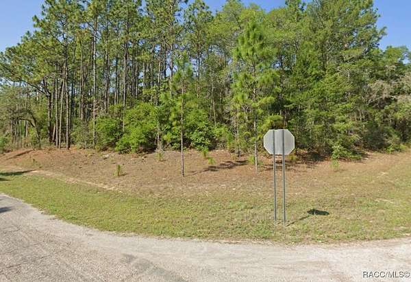 0.39 Acres of Residential Land for Sale in Citrus Springs, Florida