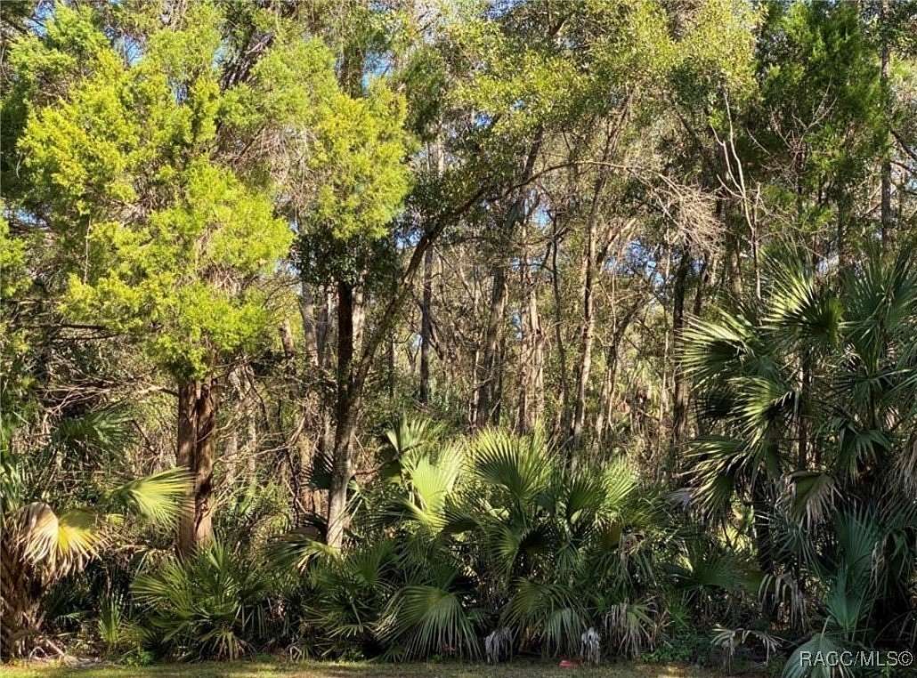 0.27 Acres of Land for Sale in Crystal River, Florida