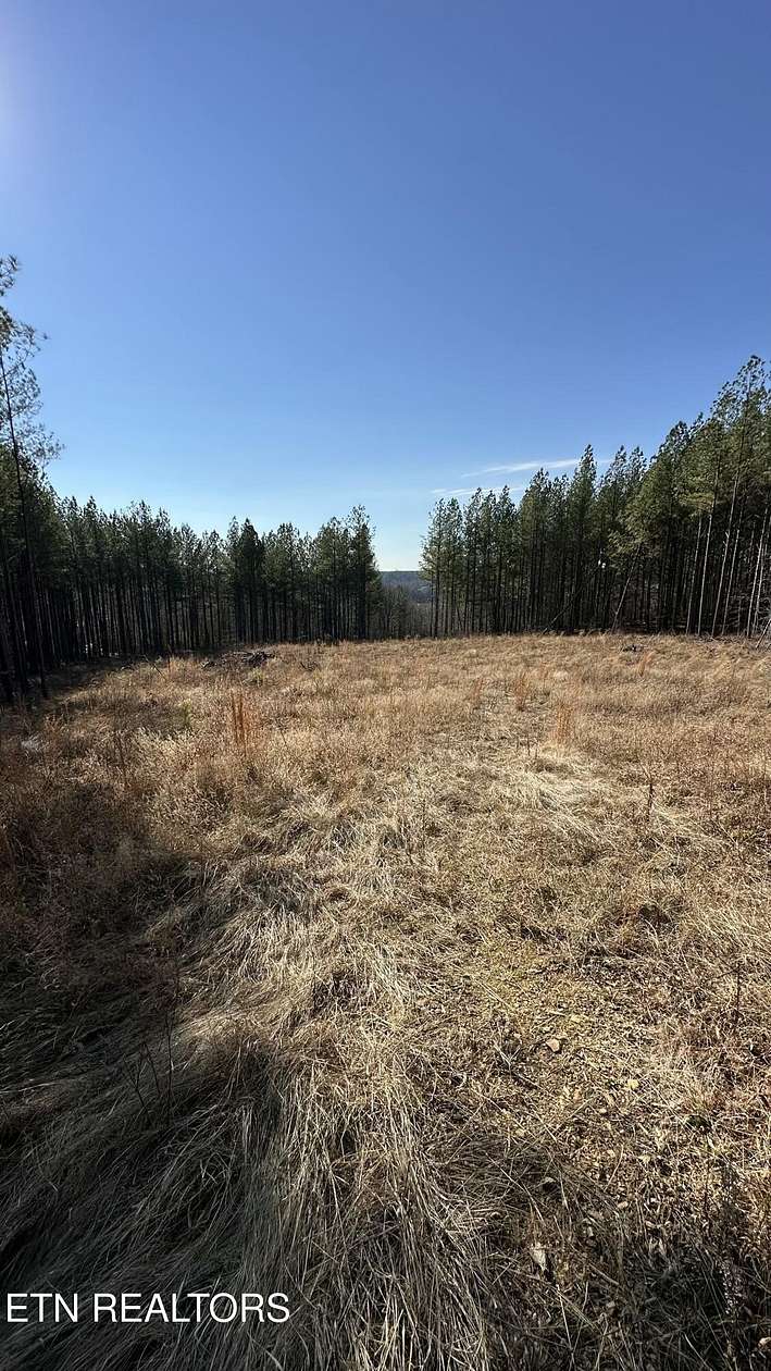 15.6 Acres of Recreational & Residential Land for Sale in Sunbright, Tennessee