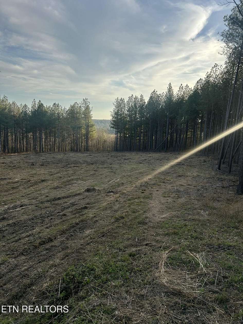 15.6 Acres of Recreational & Residential Land for Sale in Sunbright, Tennessee