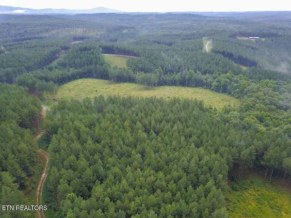 15.6 Acres of Recreational Land for Sale in Sunbright, Tennessee