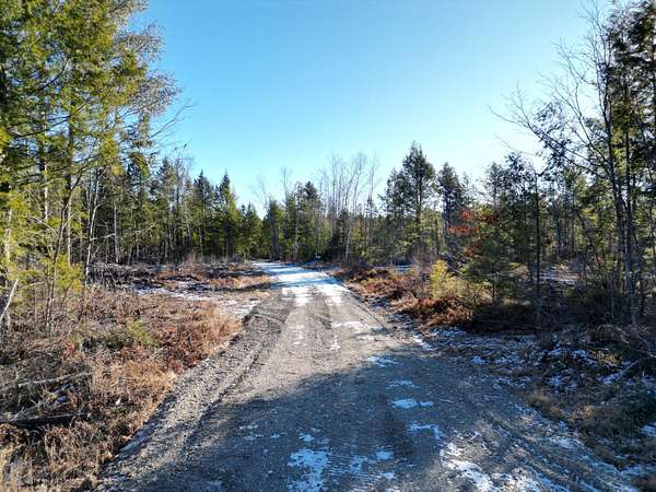 10.7 Acres of Recreational Land for Sale in Howland, Maine