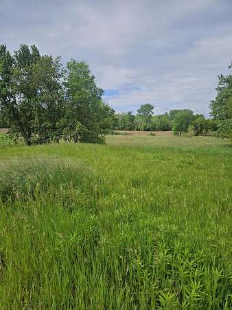 1.5 Acres of Land for Sale in Rockford, Michigan