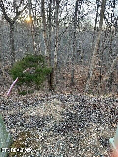 0.96 Acres of Residential Land for Sale in La Follette, Tennessee