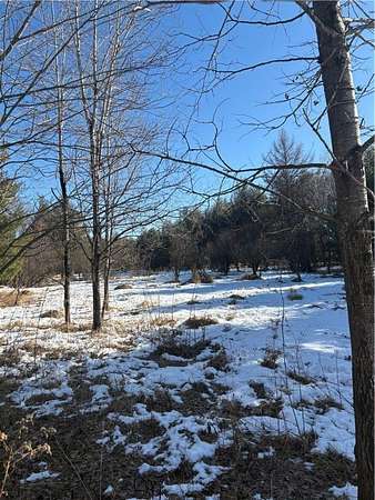 80 Acres of Land for Sale in Humbird, Wisconsin