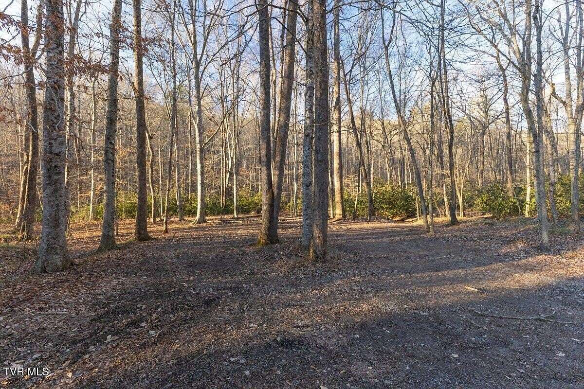 296 Acres of Land for Sale in Bean Station, Tennessee