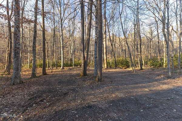 296 Acres of Land for Sale in Bean Station, Tennessee