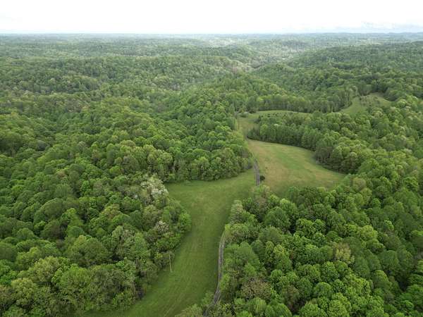 136 Acres of Land for Sale in Bethpage, Tennessee