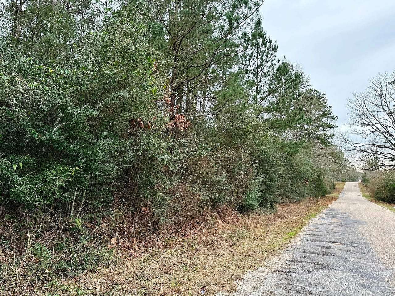 12 Acres of Land for Sale in Tylertown, Mississippi