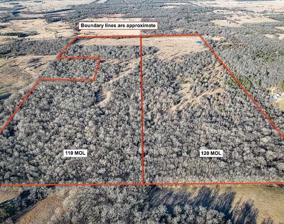 110 Acres of Land for Sale in Atoka, Oklahoma