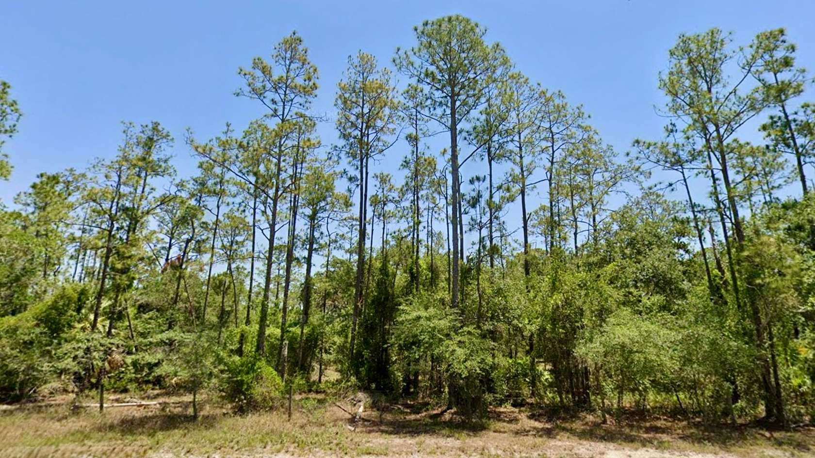 1.27 Acres of Recreational Land for Sale in Frostproof, Florida