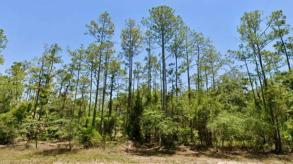 1.27 Acres of Recreational Land for Sale in Frostproof, Florida