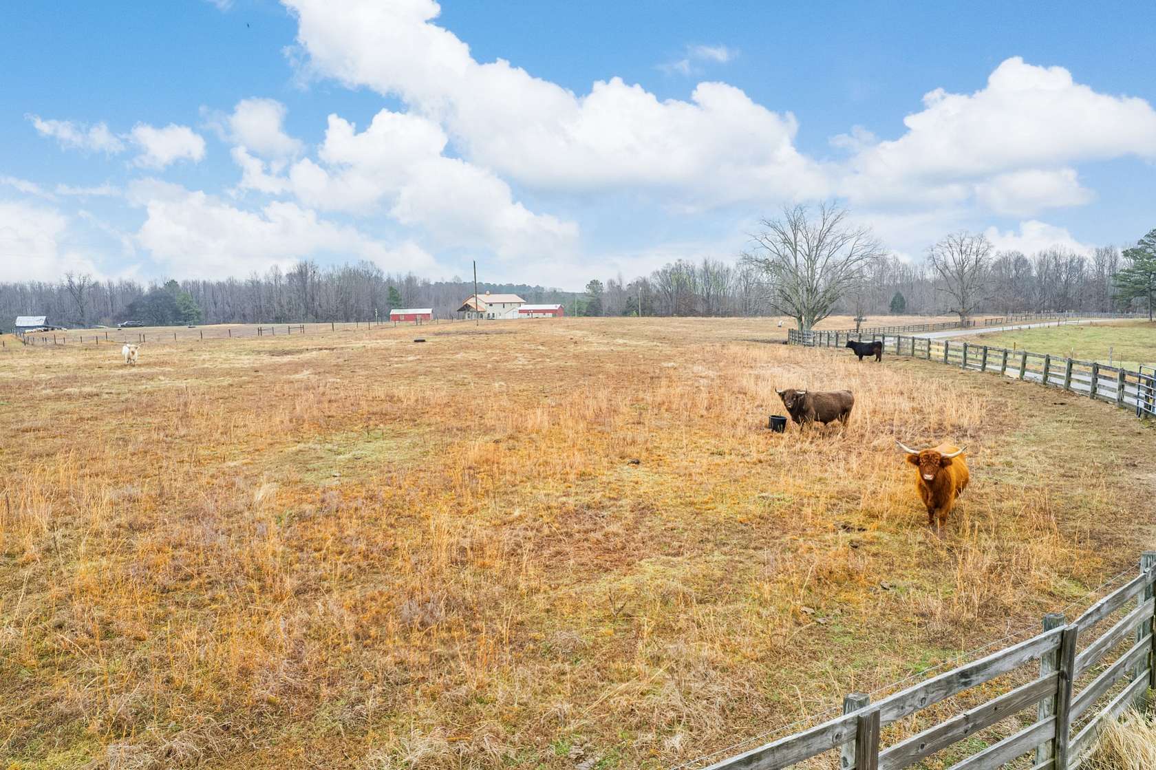 36.3 Acres of Land for Sale in Pulaski, Tennessee