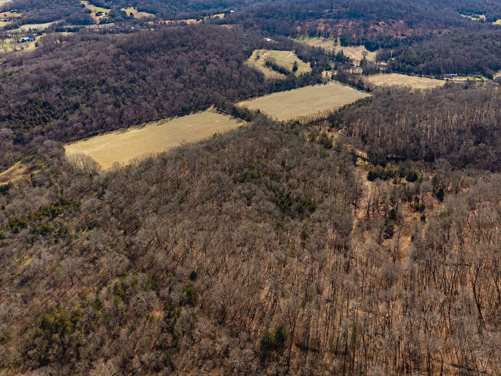 44.3 Acres of Land for Sale in Ardmore, Tennessee