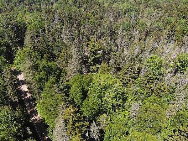 3 Acres of Residential Land for Sale in Brooklin, Maine