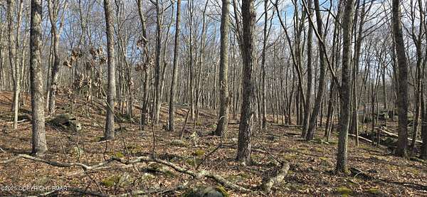 1.2 Acres of Residential Land for Sale in Milford, Pennsylvania