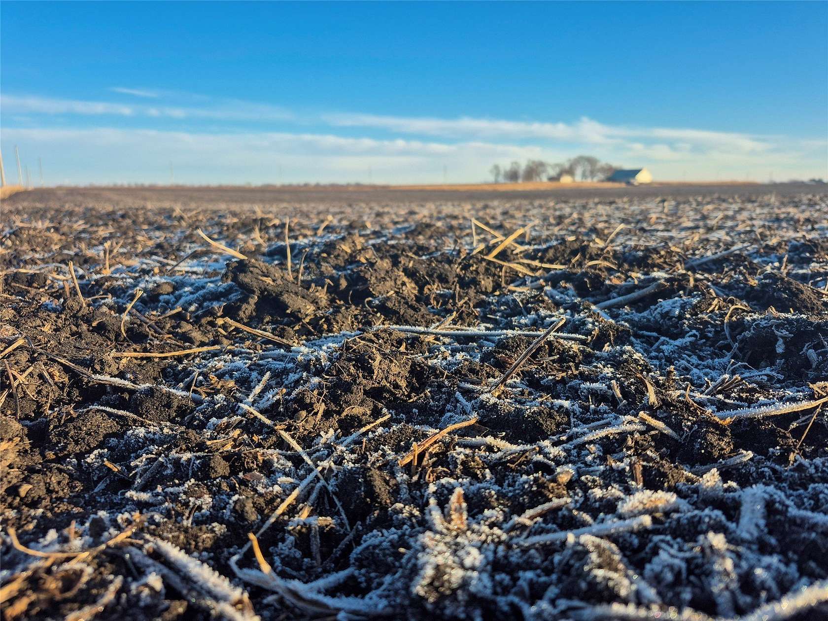 300 Acres of Recreational Land & Farm for Sale in Grand Junction, Iowa