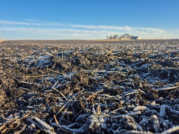 300 Acres of Recreational Land & Farm for Auction in Grand Junction, Iowa