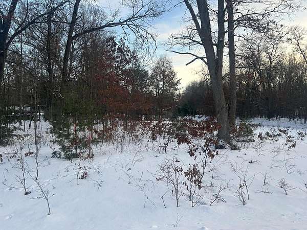 1 Acre of Residential Land for Sale in Houghton Lake, Michigan