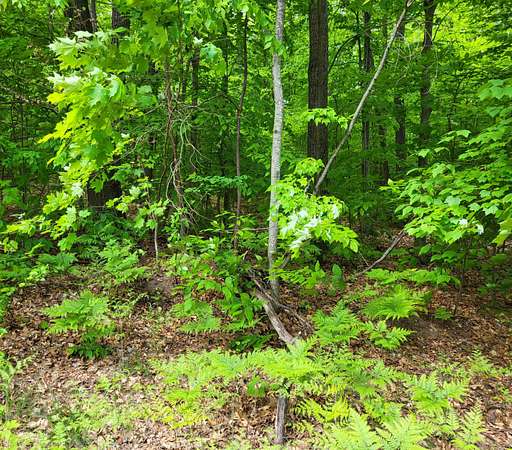 Land for Sale in Gaylord, Michigan