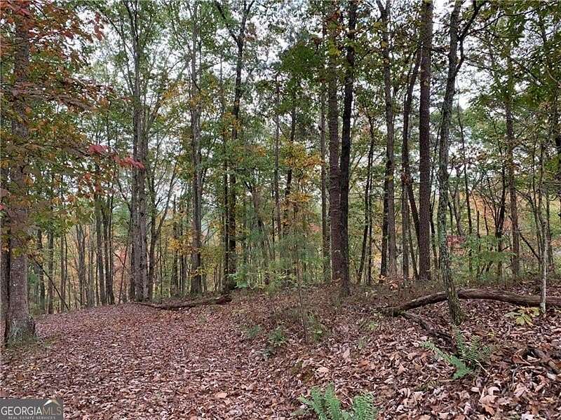 1.85 Acres of Land for Sale in Ranger, Georgia