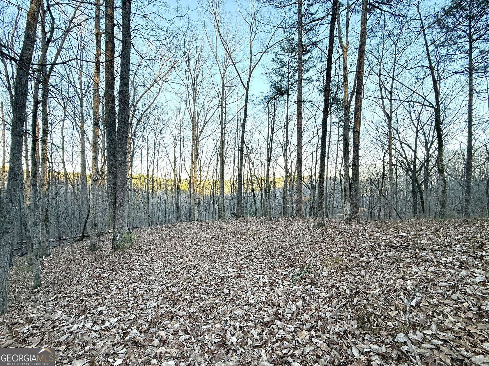 1.85 Acres of Land for Sale in Ranger, Georgia