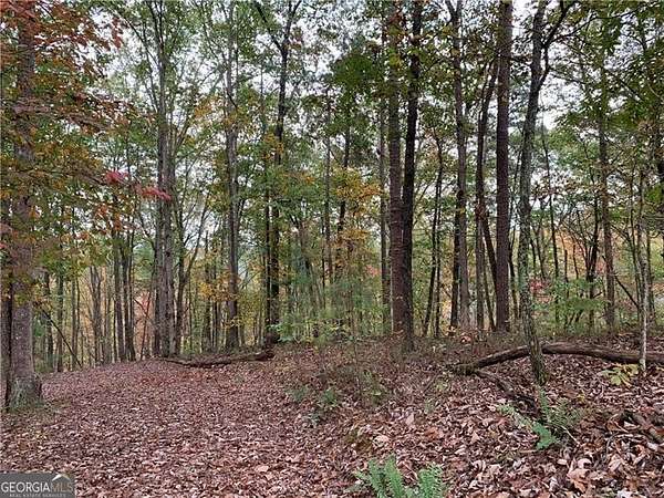 1.85 Acres of Land for Sale in Ranger, Georgia