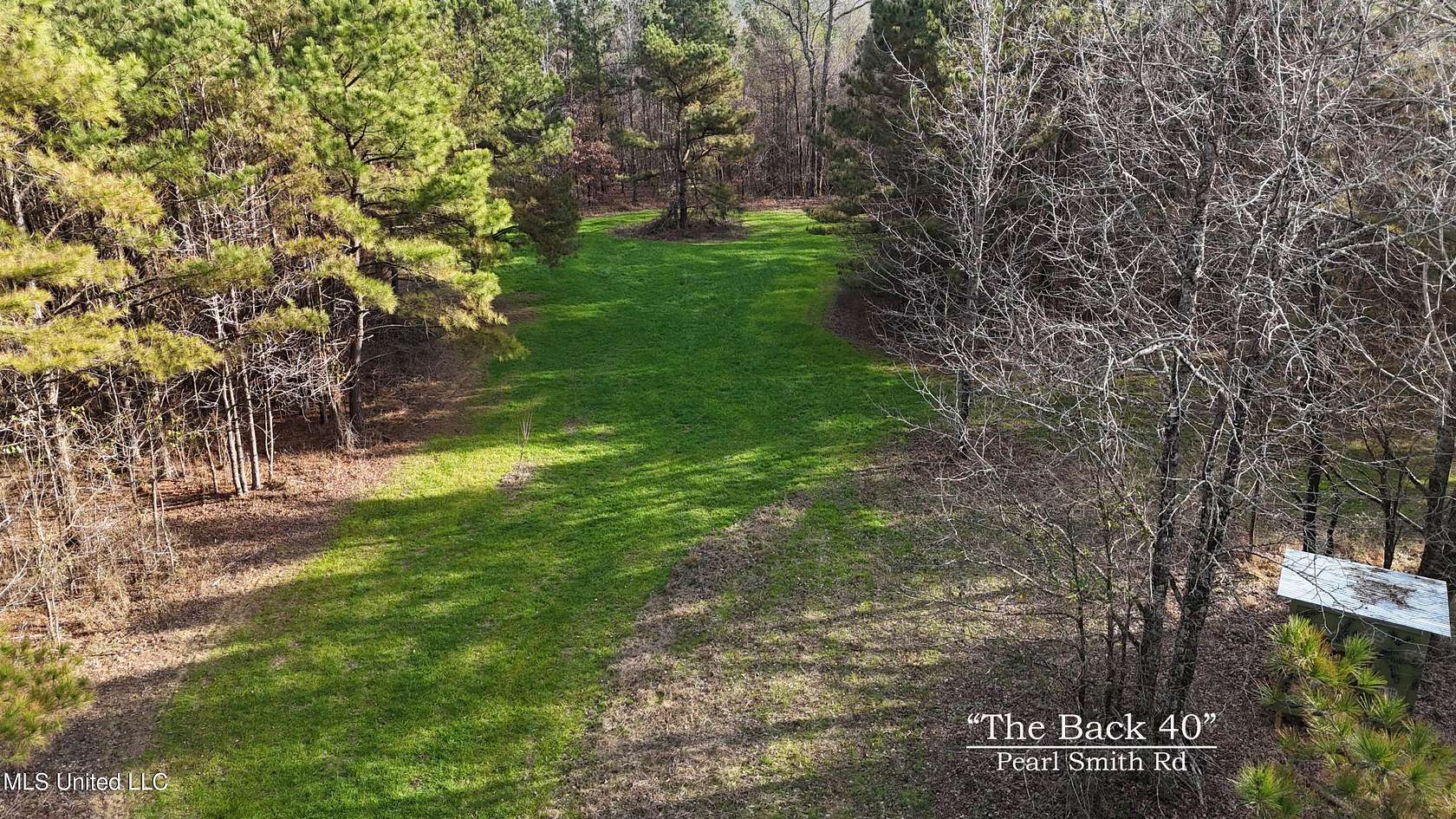 39.2 Acres of Recreational Land for Sale in Senatobia, Mississippi