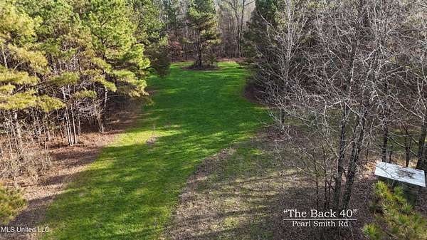 39.2 Acres of Recreational Land for Sale in Senatobia, Mississippi