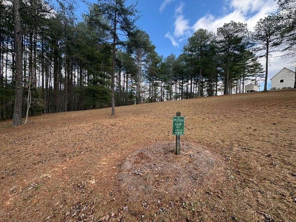 1.17 Acres of Land for Sale in Blairsville, Georgia