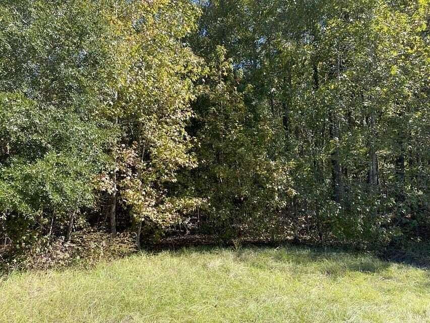 16 Acres of Land for Sale in Olar, South Carolina