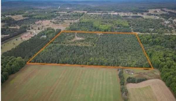 40 Acres of Recreational Land for Sale in Mancelona, Michigan