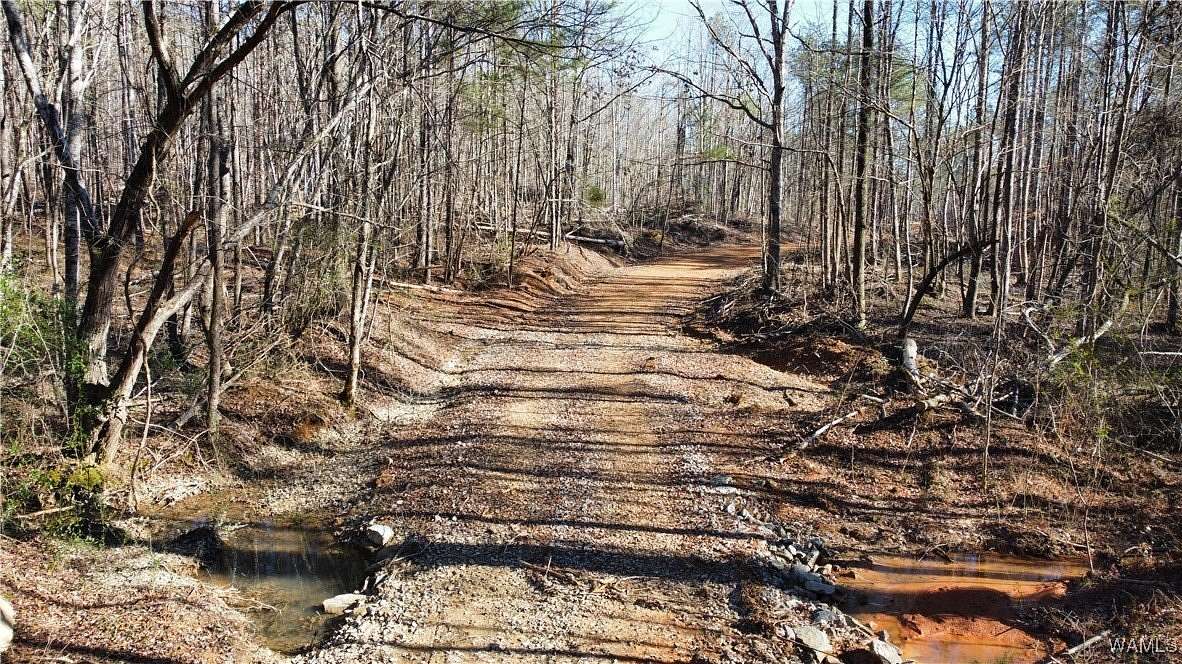 174 Acres of Recreational Land for Sale in Oakman, Alabama