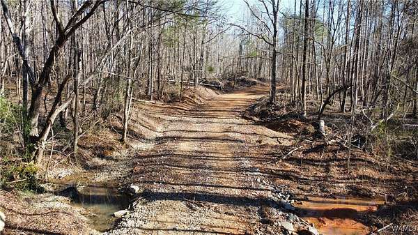 174 Acres of Recreational Land for Sale in Oakman, Alabama