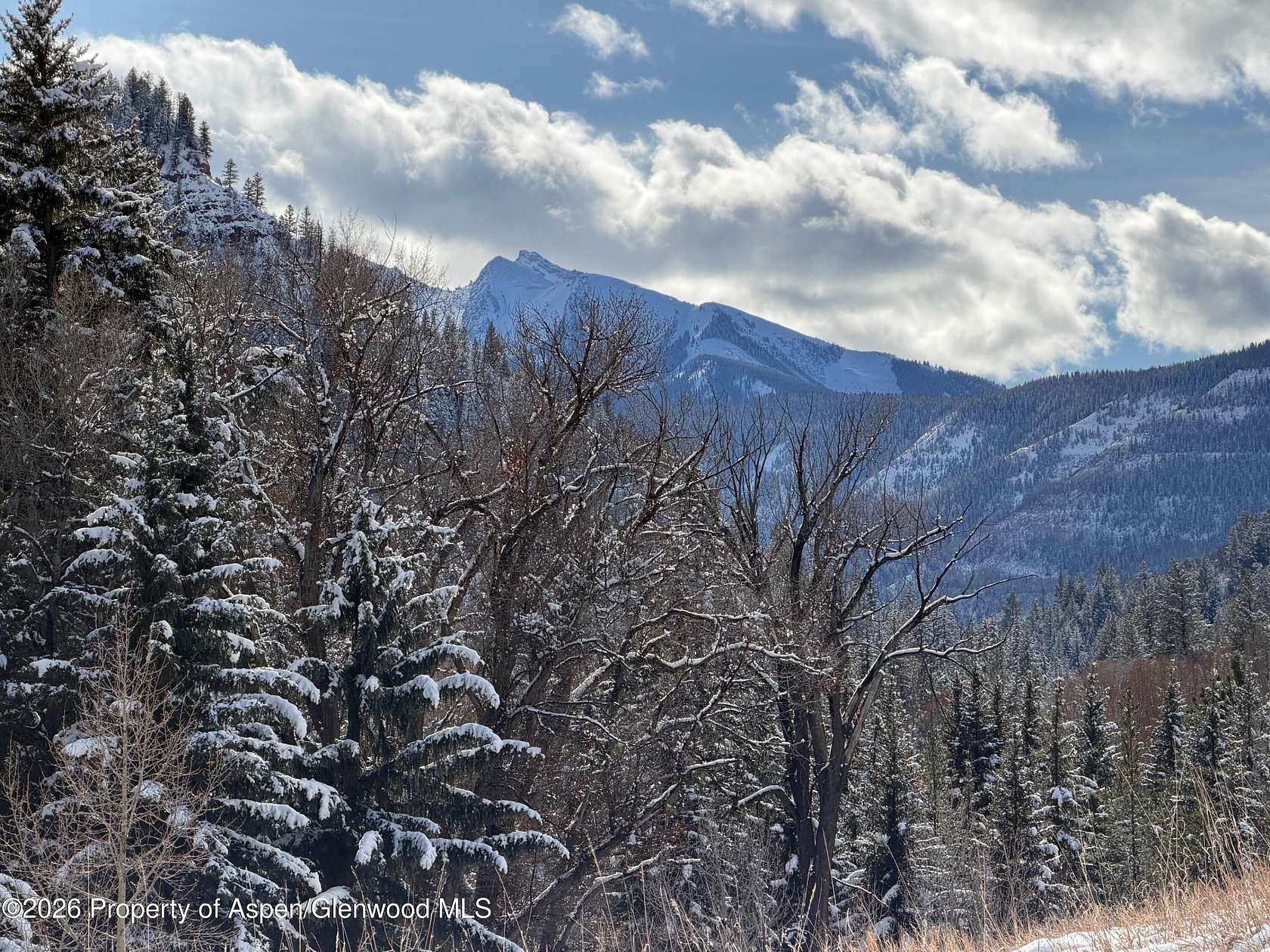 0.27 Acres of Residential Land for Sale in Redstone, Colorado