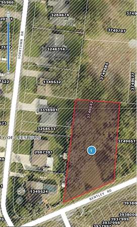 0.67 Acres of Residential Land for Sale in Leesburg, Florida