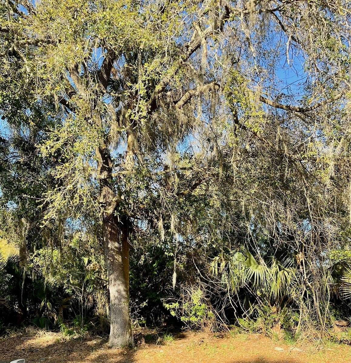 0.46 Acres of Residential Land for Sale in Osteen, Florida